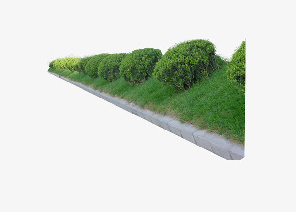 绿化植被图片素材免费下载_觅元素