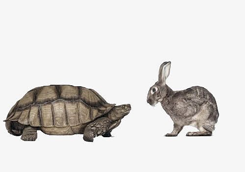 乌龟和兔子