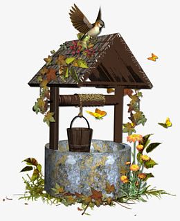 复古丛林里的井