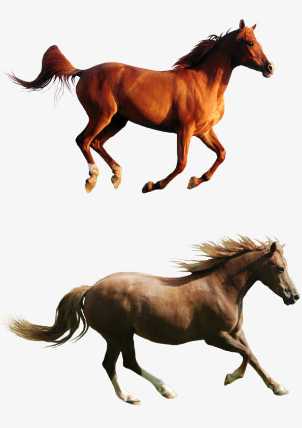 跳跃的马儿素材免费下载_觅元素