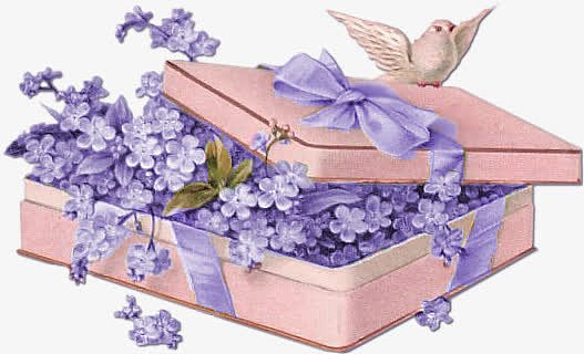 紫色礼盒花
