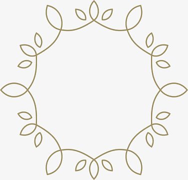 psdpng金色花纹png金色唯美边框装饰线psdpng欧美风性感风衣png边框