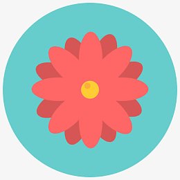 香气开花雏菊花花自然花