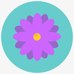 香气开花雏菊花花自然花