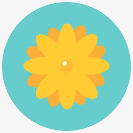 香气开花雏菊花花自然花