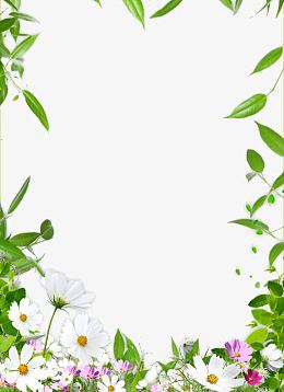 花卉边框
