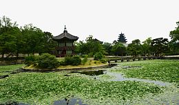 韩国济州岛摄影