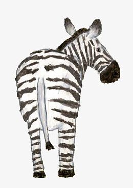 手绘斑马