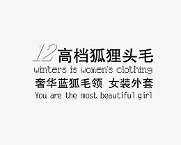 高档蓝狐毛领女装外套艺术字