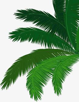 卡通绿色夏日植物棕树