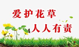 爱护花草人人有责