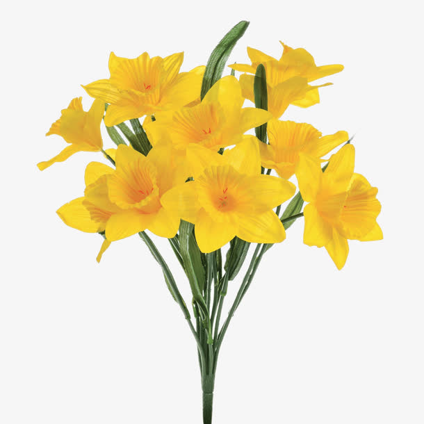 一束娇艳黄花