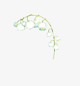 文艺水彩风铃花