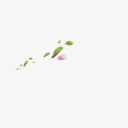 漂浮的花瓣