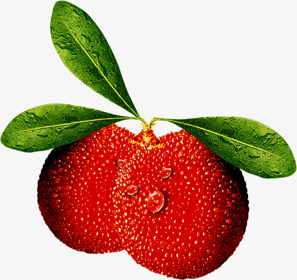 杨梅素材免费下载_觅元素