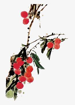 手绘杨梅