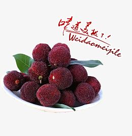 水果海报之美味杨梅