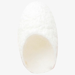 蚕茧局部素材高清素材