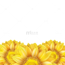 向日葵花