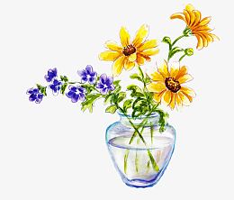 手绘葵花