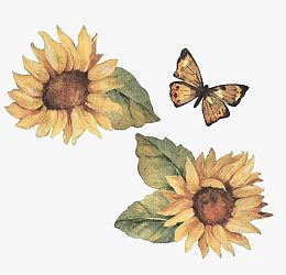 向日葵花
