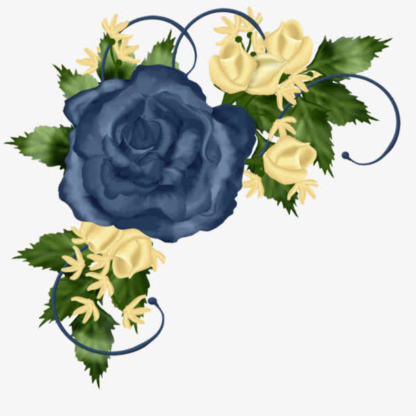 手绘蔷薇花免抠素材免费下载_觅元素51yuansu.com