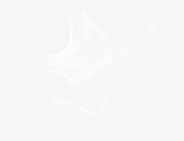 蜘蛛网