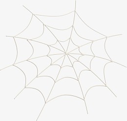 蜘蛛蜘蛛网矢量图 