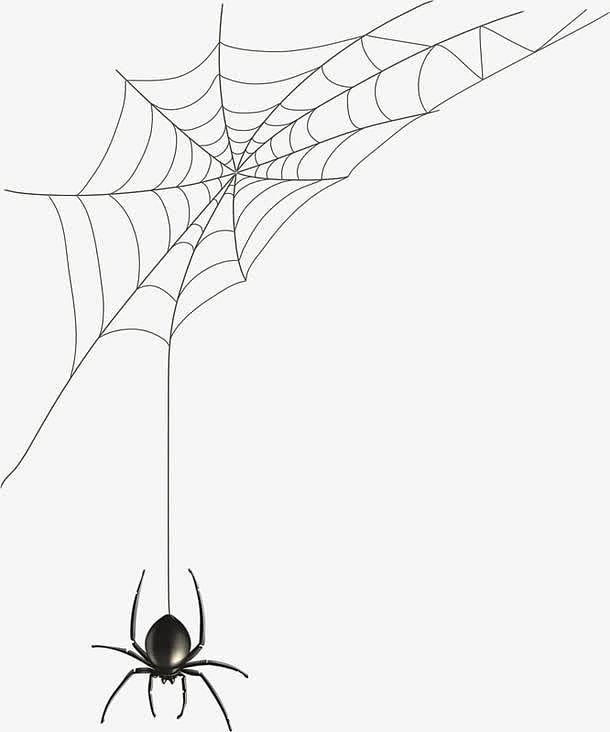 蜘蛛和蜘蛛网