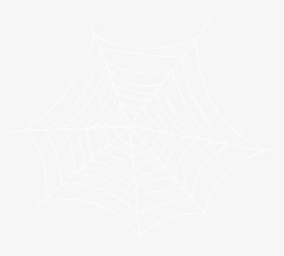 卡通蜘蛛网图片蜘蛛网图片素材