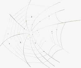 素描蜘蛛网图片素材