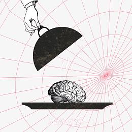 盘子里的脑图案和蜘蛛网背景图