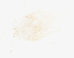 蜘蛛网矢量图手绘