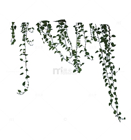 绿色绿藤植物素材