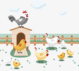 生机勃勃的养鸡场