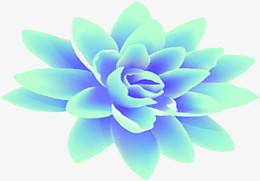 渐变质感荷花效果
