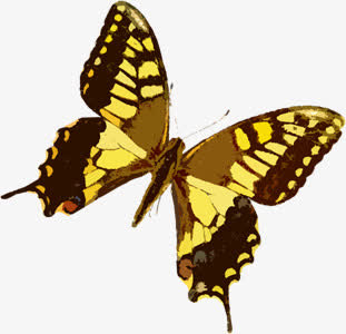 黄色蝴蝶设计海报免抠素材免费下载_觅元素51yuansu.com