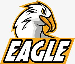 扁平雄鹰队徽