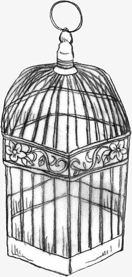 鸟笼