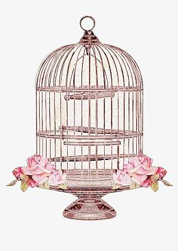 手绘花朵装饰鸟笼