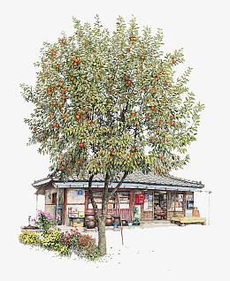 手绘橘子树下的杂货店