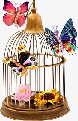 鸟笼和蝴蝶