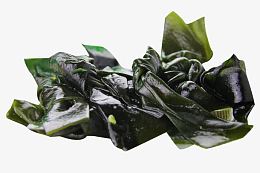 湿海带结图片素材