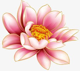 水粉荷花