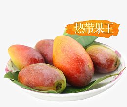 热带果王贵妃芒