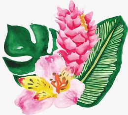 手绘水彩芭蕉叶粉花