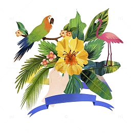 鸟儿和植物插画
