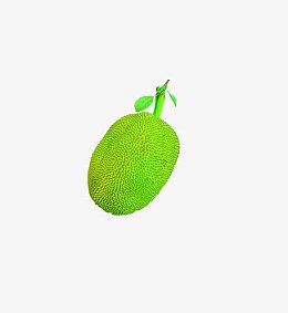 菠萝蜜