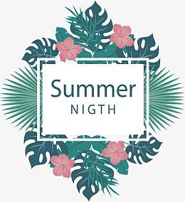 美丽的夏日夜晚海报
