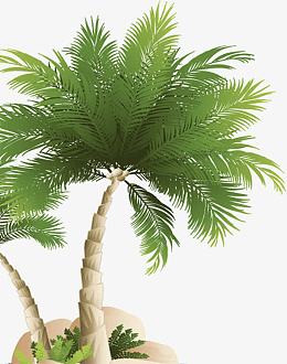 夏日海报手绘棕树